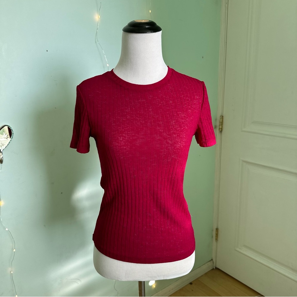 Zara Red Sheer Top